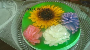 GELATINA 3D